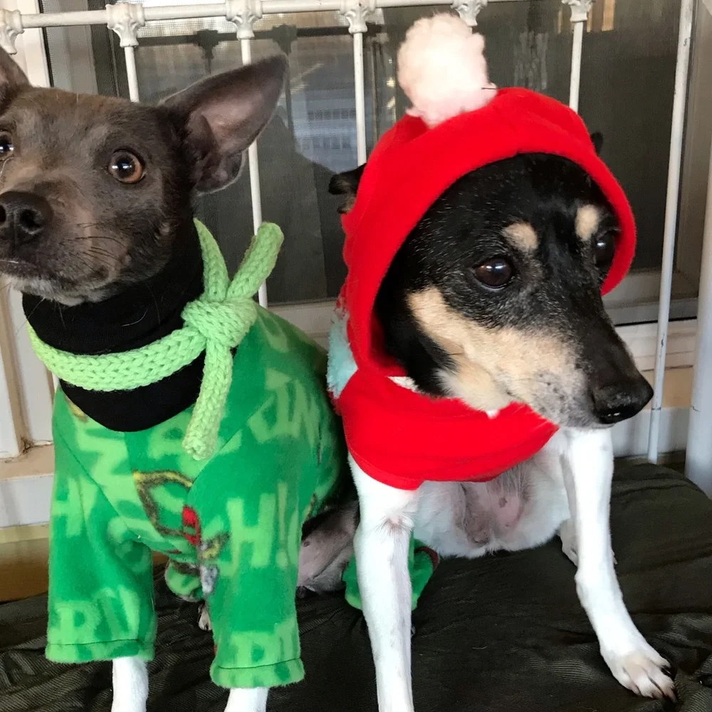 WINTER SHERPA SWEATER *DOG *CAT *NEW *FESTIVE HOLIDAY HOODIE *XS